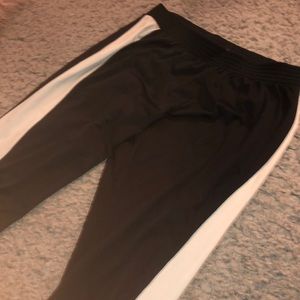 BDG black plants with cream stripe.